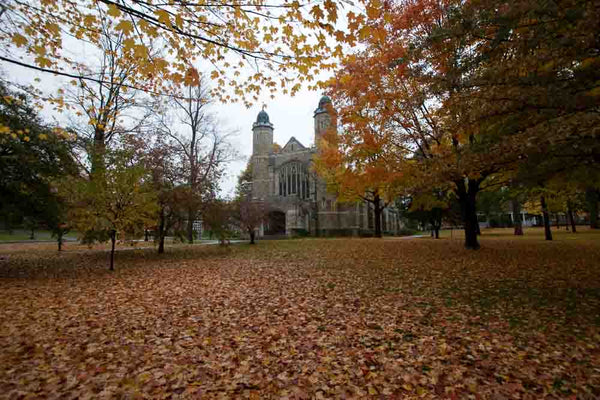 It’s Fall Ya’ll