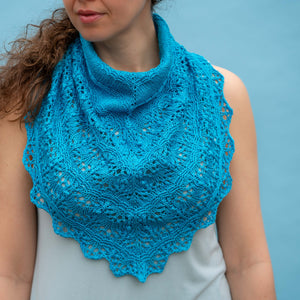 Coleman Cloud Catcher Project Sample