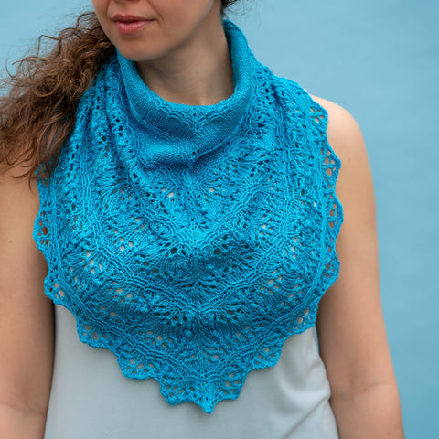 Coleman Cloud Catcher Project Sample