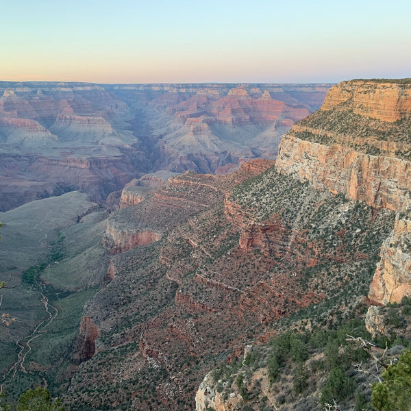 Scenic view of the Grand Canyon with layers of rock and greenery.