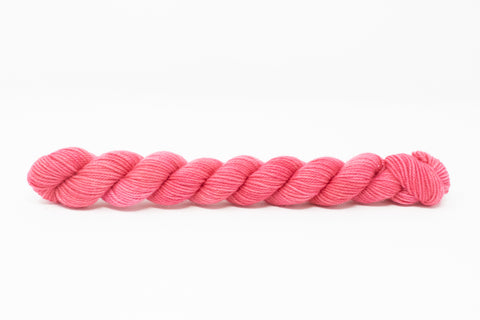 Paloma Petite Skein- Wholesale