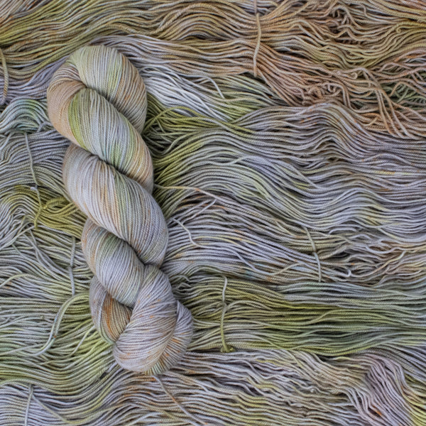 Dax's Science Experiment- Latta Classic